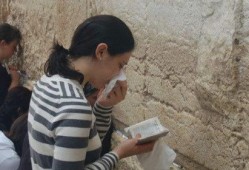 娱乐圈吃瓜蛙,揭秘明星幕后故事与八卦风云