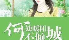 吃瓜小说娱乐圈番茄小说,番茄小说中的瓜田盛宴