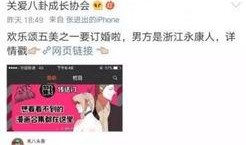 吃瓜小说娱乐圈番茄小说,番茄小说中的瓜田盛宴