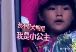 娱乐吃瓜酱想爸爸,揭秘“想爸爸”背后的感人故事