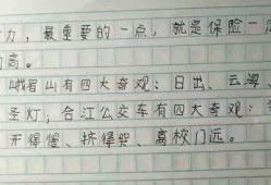 娱乐吃瓜酱小学生作文,小学生眼中的娱乐圈风云