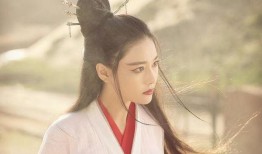 娱乐吃瓜君张馨予小说,揭秘娱乐圈背后的秘密与真相