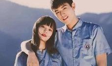 娱乐圈吃瓜系统无cp,揭秘无CP吃瓜背后的秘密与真相