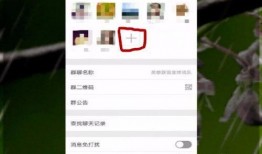 娱乐吃瓜微信群怎么进的,如何轻松加入娱乐吃瓜微信群？