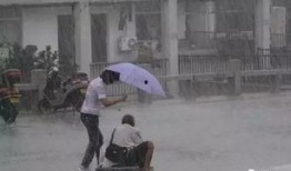 娱乐吃瓜酱爷爷撑伞,娱乐界温馨一幕